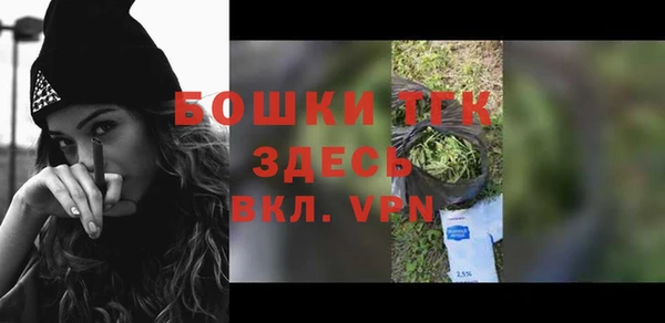 прущий лед Богданович