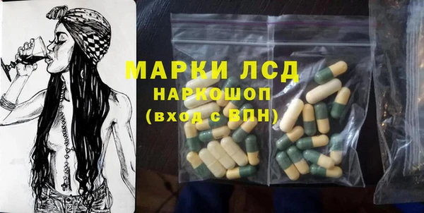 прущий лед Богданович