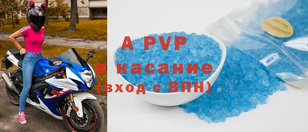 стафф Богородск