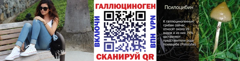 Купить закладки  Дубовка  Галлюциногенные грибы Magic Shrooms 